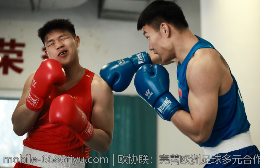 欧协联：完善欧洲足球多元合作生态链